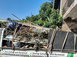 Best Basement Cleanout  in Bloomington, TX